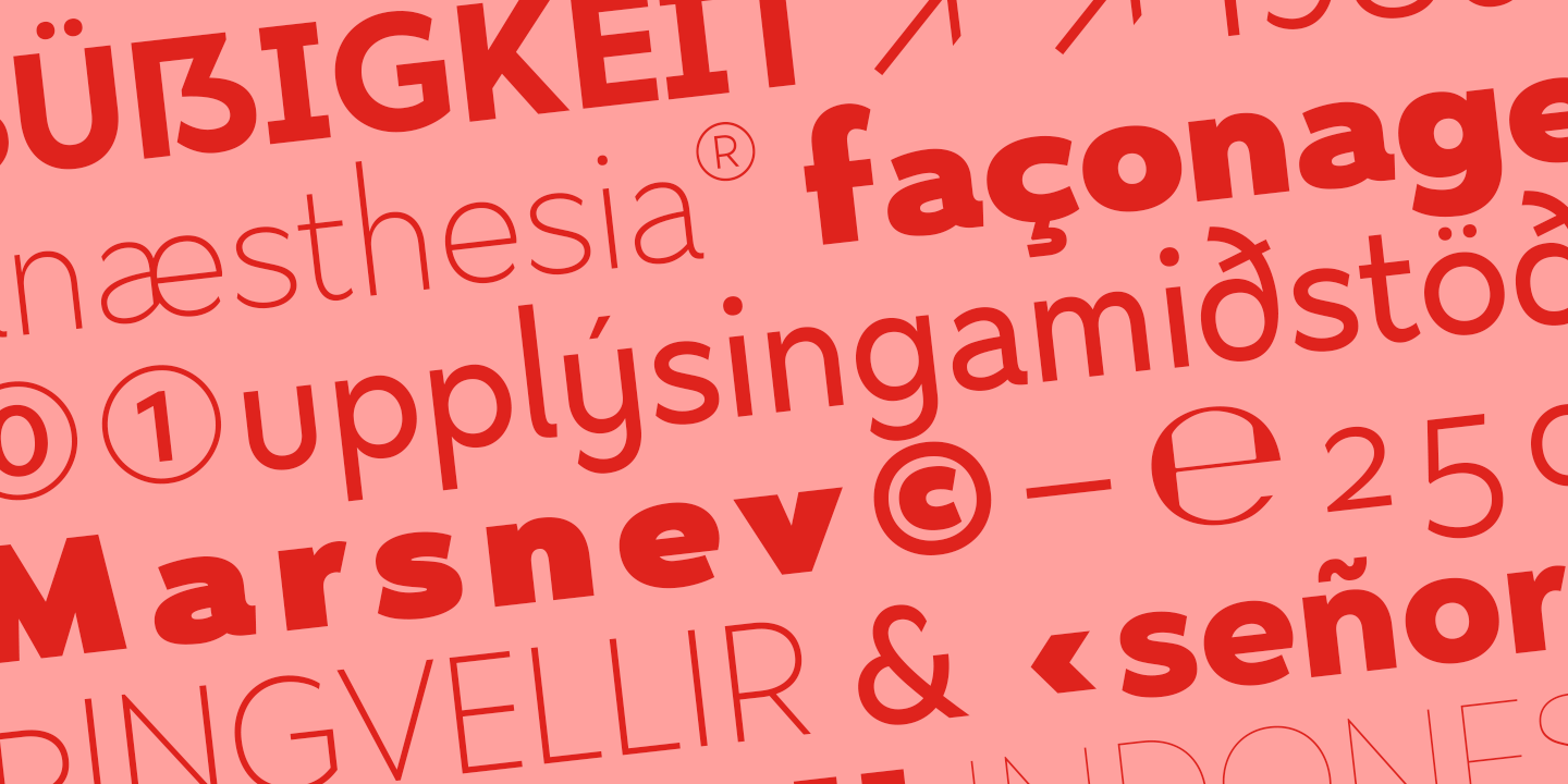Nyata Light Italic Font preview